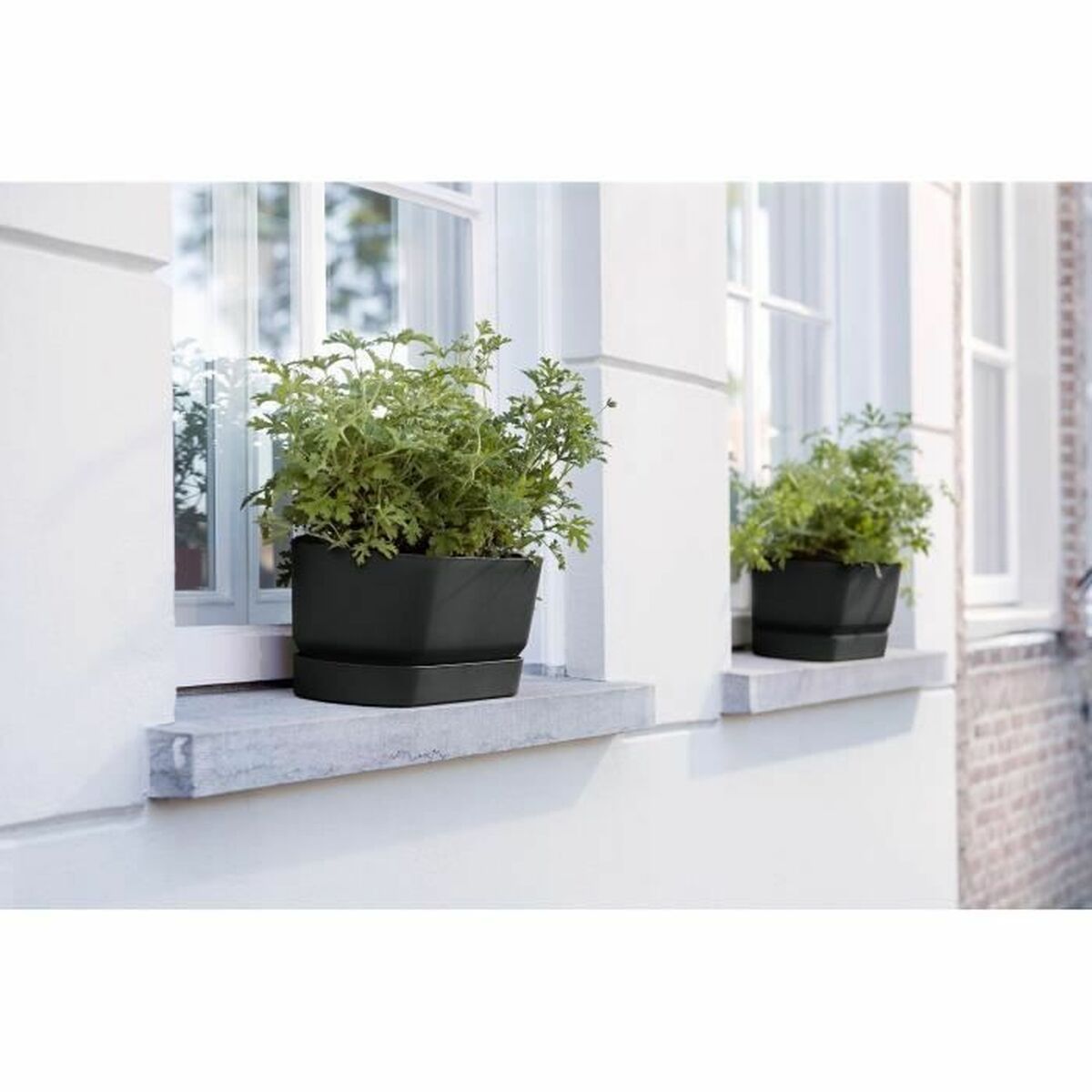 Blomlåda Elho Svart 50 cm Plast Oval